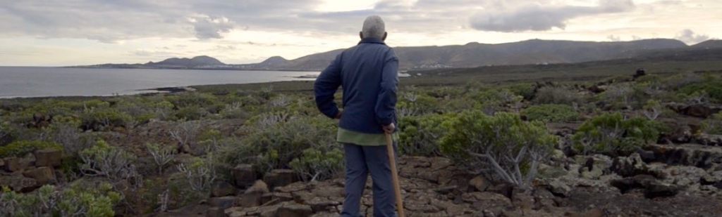 Recibimos dos documentales en&nbsp;Distribución