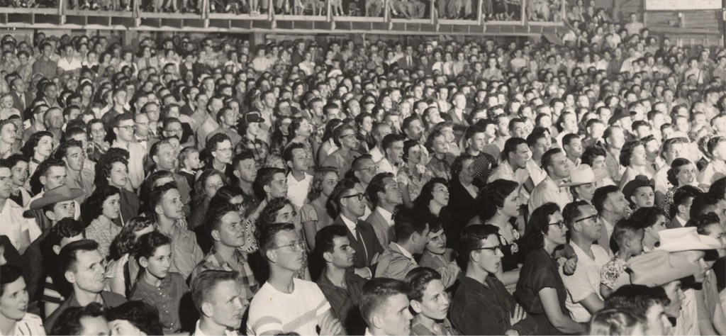 Digital 104 Film Distribution no se&nbsp;detiene