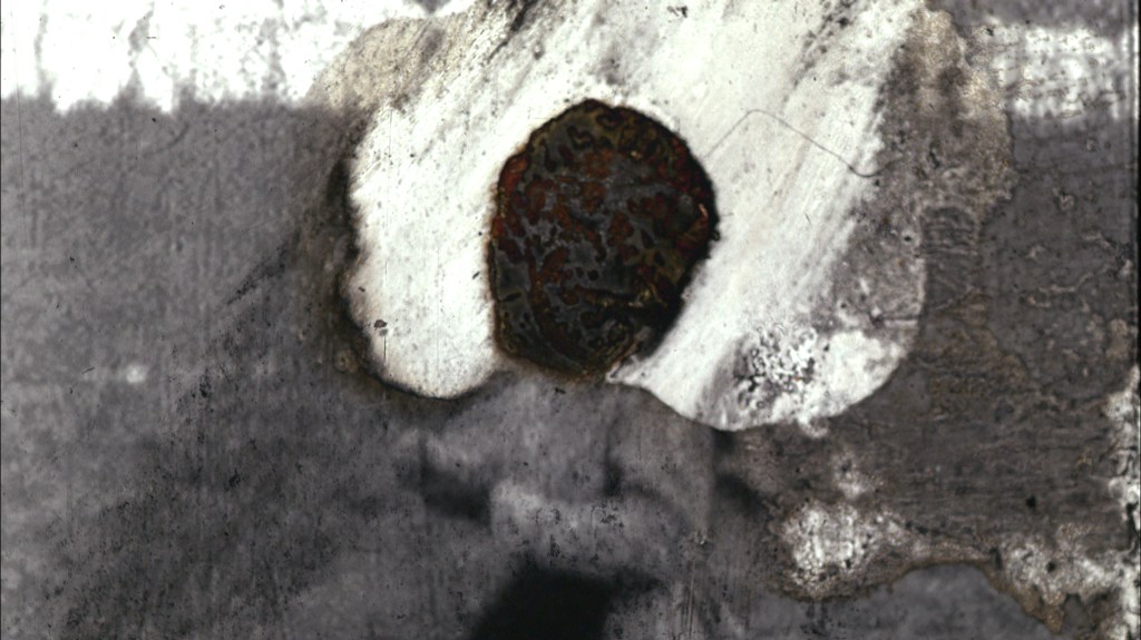 Las 5 españolas de…&nbsp;Jonay