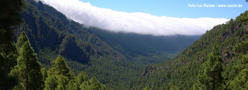 Rumbo a La&nbsp;Palma