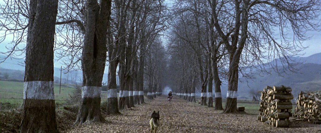 Las 5 españolas de…&nbsp;Jairo