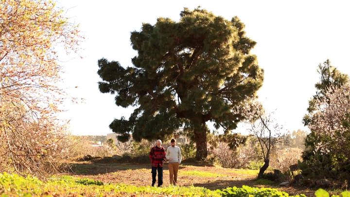 12973356_1140784642618771_7135853300914291371_o