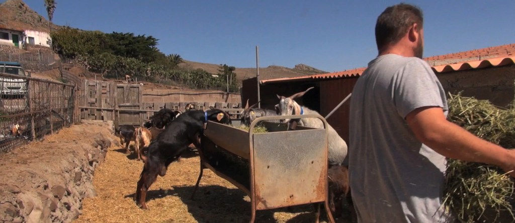 Ser joven y emprender en el&nbsp;campo