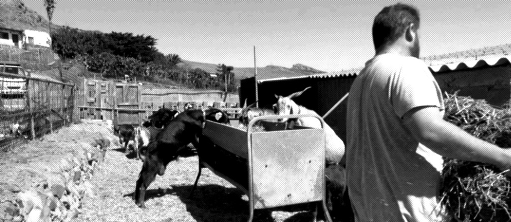 Lo más leído de (la segunda mitad de)&nbsp;2017