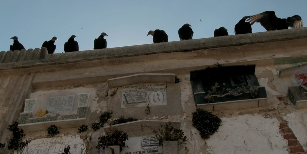 Se busca nuevo premio de&nbsp;distribución