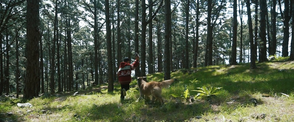 Del Cinedfest a nuestro catálogo de&nbsp;distribución