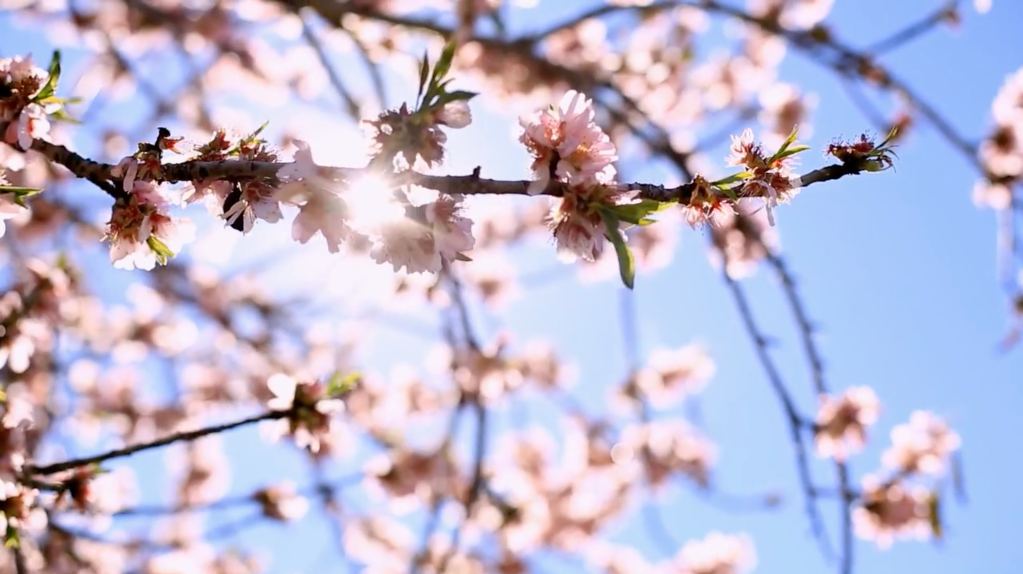 ‘Las postales de Roberto’ se estrena en&nbsp;Filmin