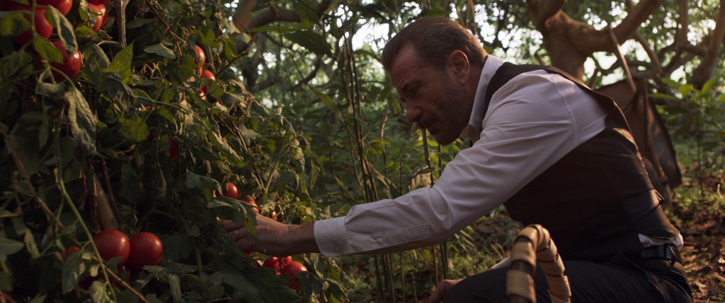 Tres cortos y un largo inician&nbsp;distribución