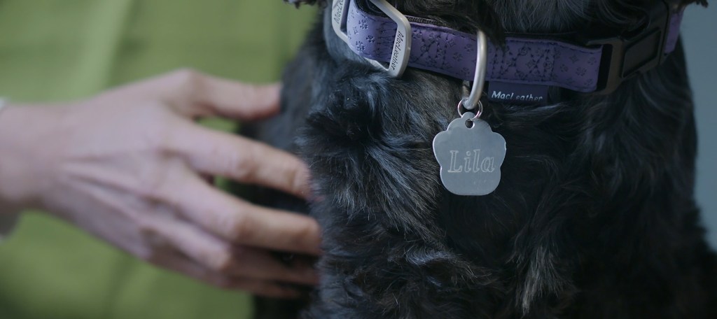 LILA llega a nuestro&nbsp;catálogo