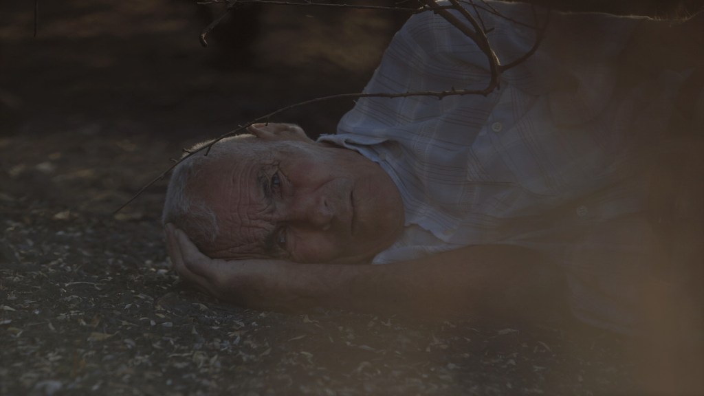 A través del&nbsp;tiempo