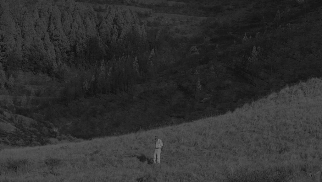 Lo más leído de (lo que quedaba de)&nbsp;2021