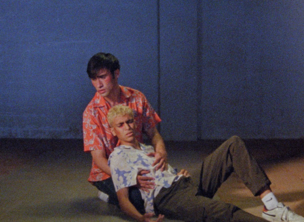 De vírgenes y&nbsp;curas