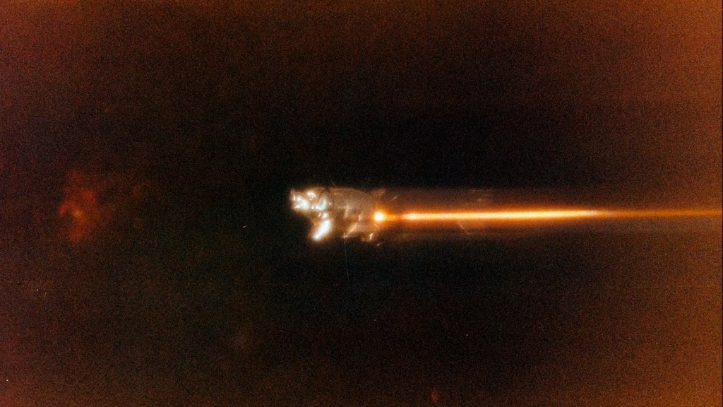 Una cuestión de supervivencia&nbsp;cotidiana