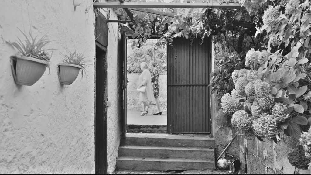 Lo más leído del&nbsp;2024