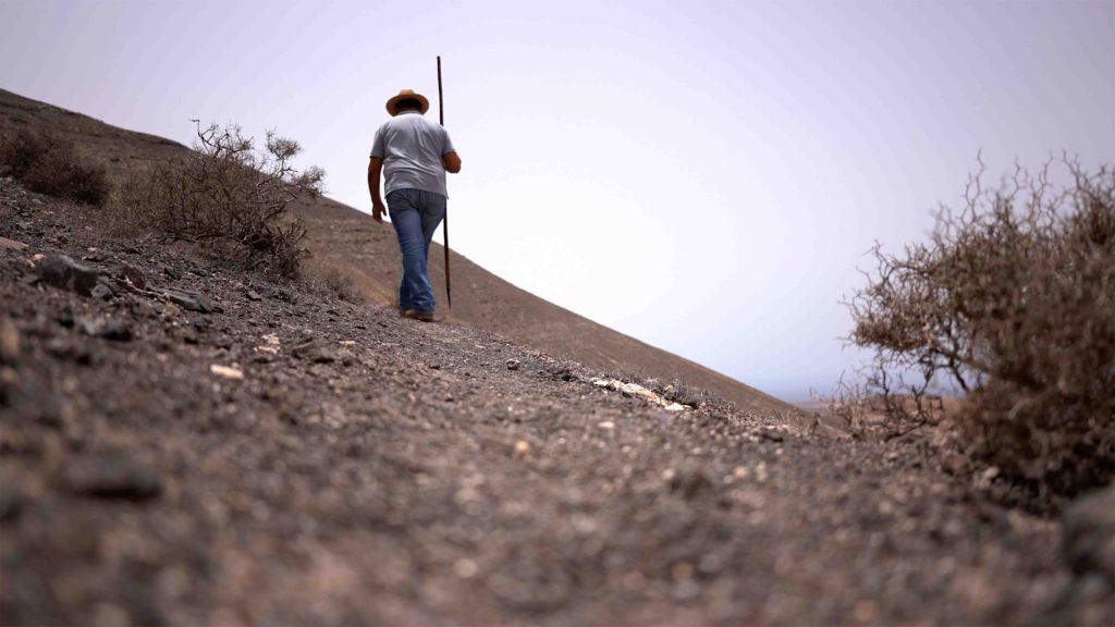 Desde dentro de&nbsp;Canarias