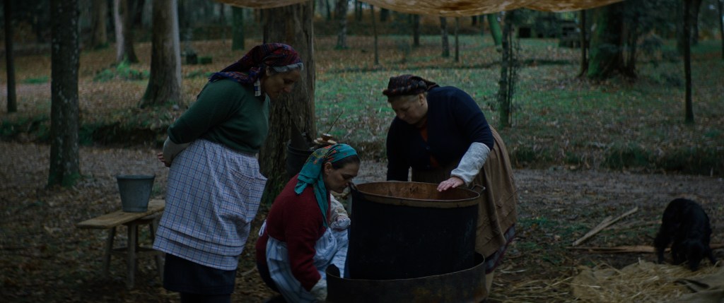 En distribución: Pulpeiras