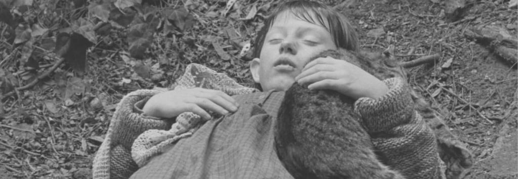 10 películas de&nbsp;Nobel